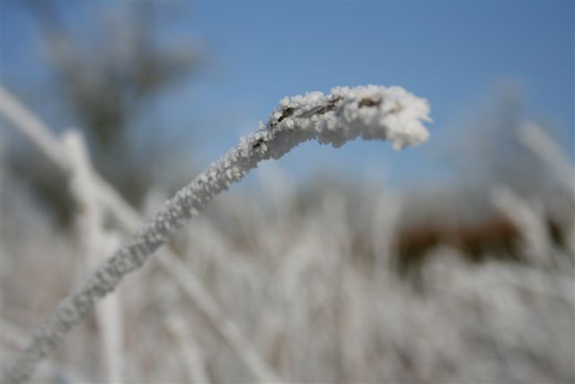 très froid ce jour la!