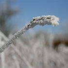 très froid ce jour la!