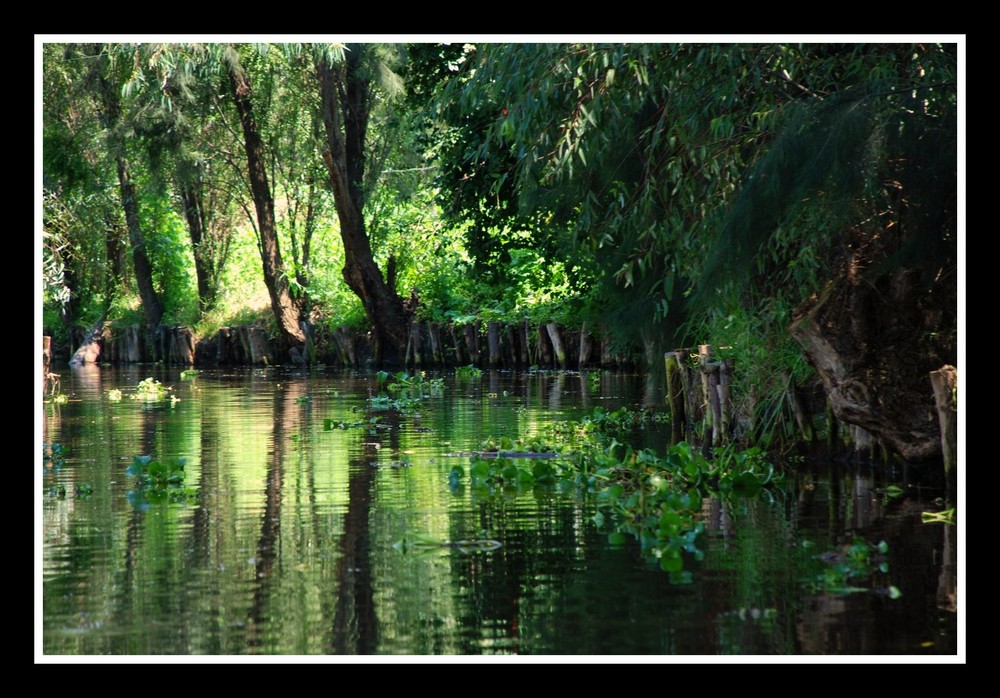 Très loin de chez moi, les canaux de Xochimilco