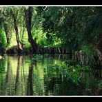 Très loin de chez moi, les canaux de Xochimilco