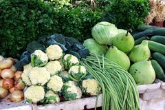 Très longs ces haricots !