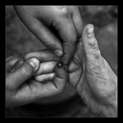 Tres manos y una mariquita