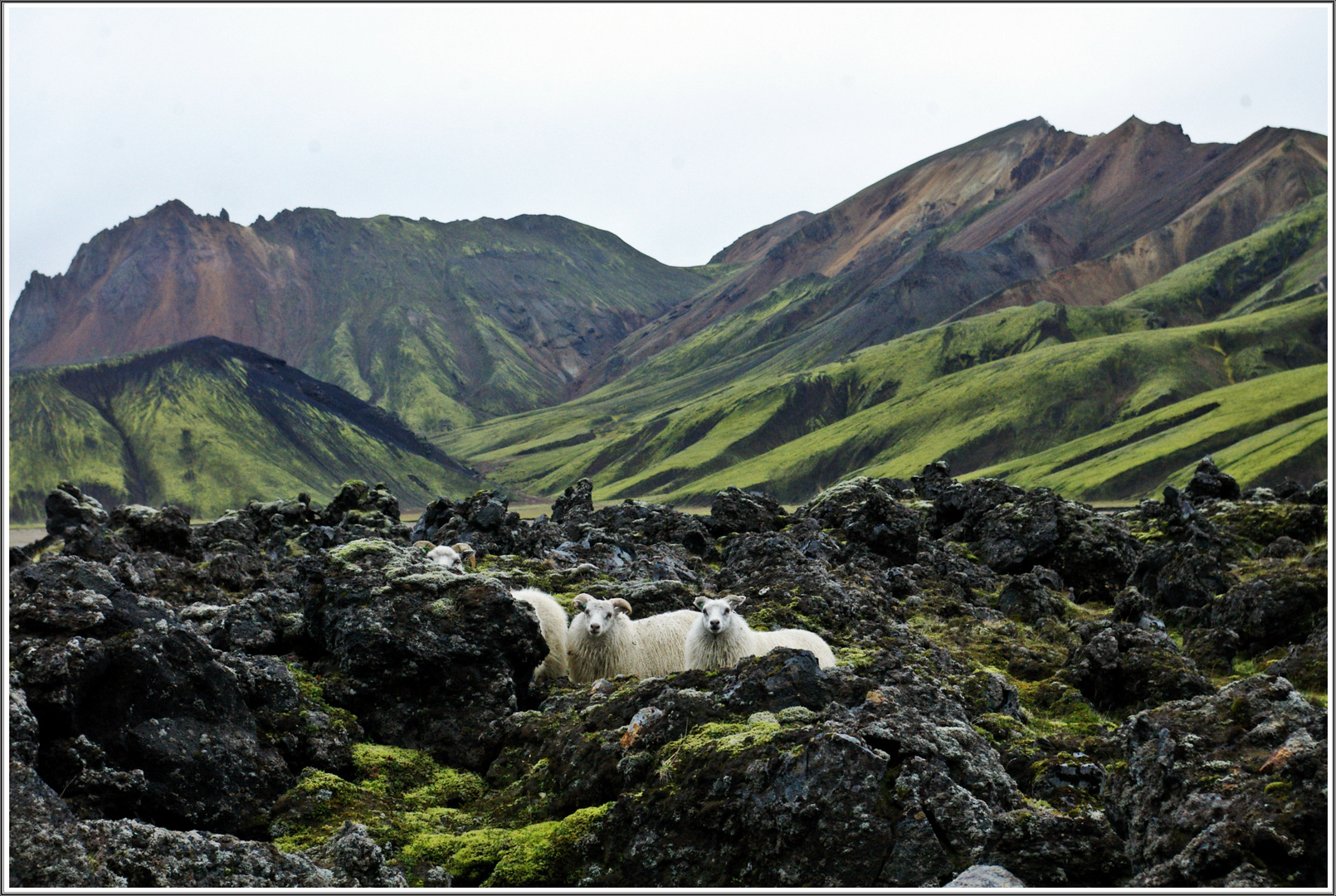 TRES MIRADAS AL COMIENZO DE LA SENDA F208 (LANDMANNALAUGAR, ICELAND)