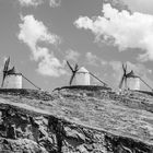 tres molinos de la mancha