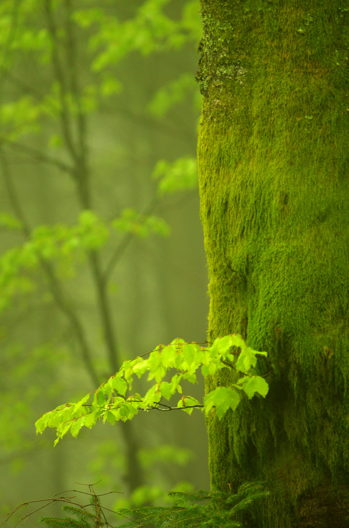 Très nature.