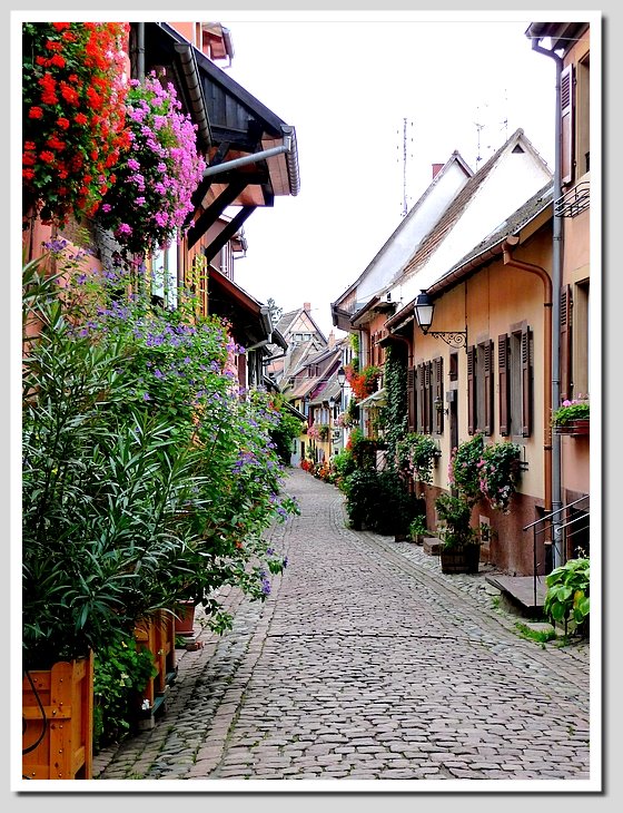 Très reposante cette rue !