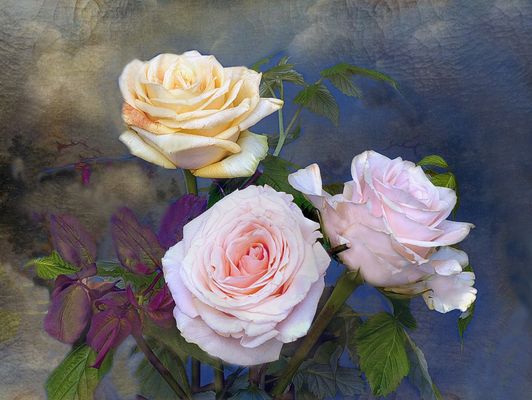  Tres rosas 