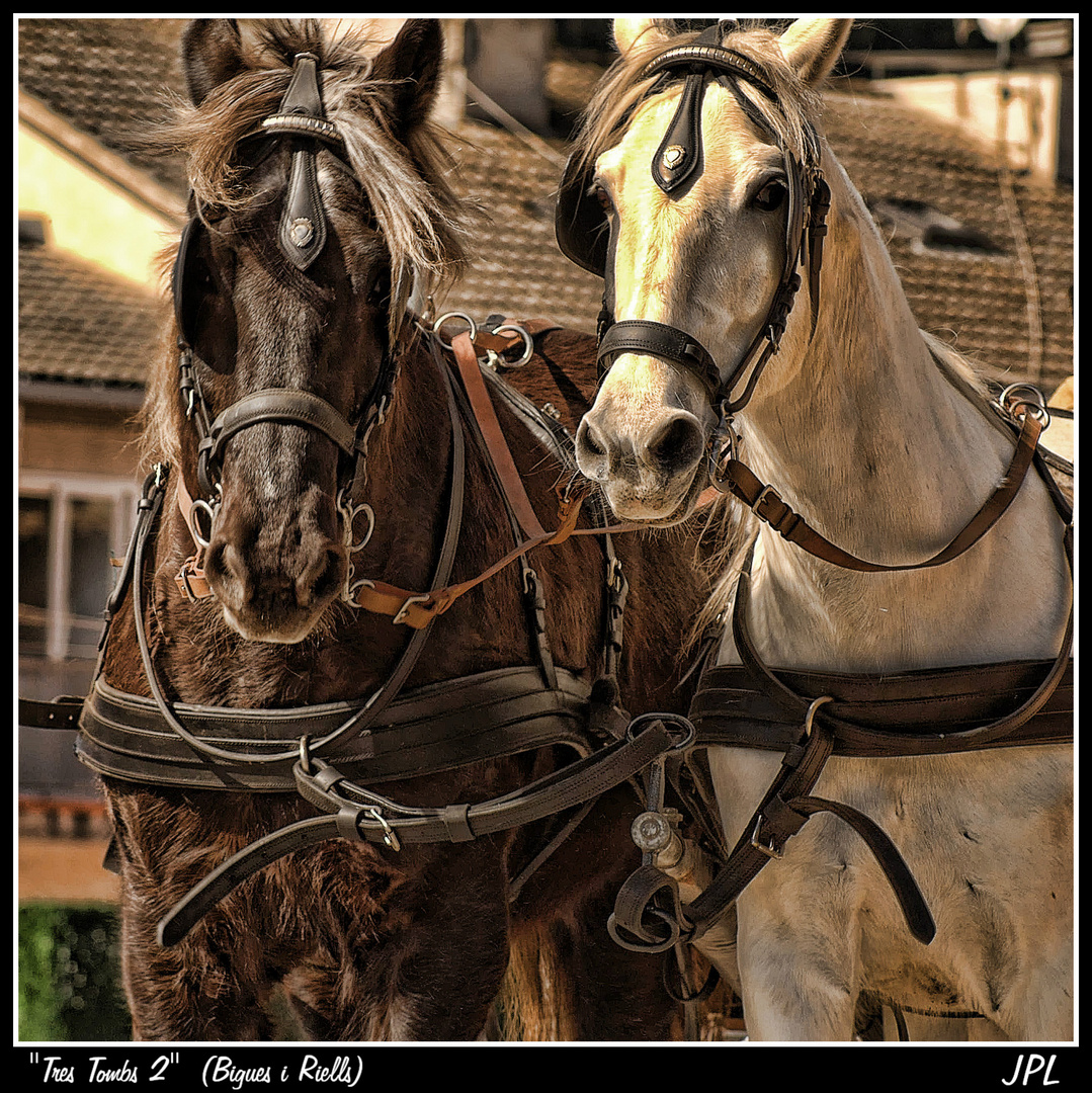 TRES TOMBS (TRES VUELTAS) 2.