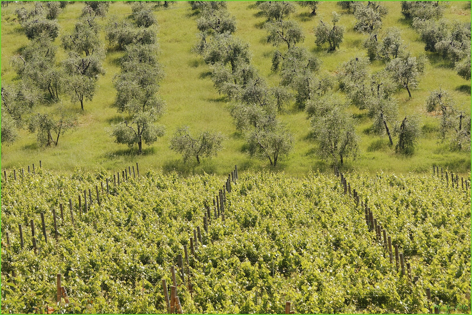 Trésors de la Toscane / Schätze der Toskana