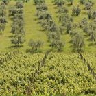 Trésors de la Toscane / Schätze der Toskana