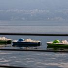 Tretboote, Lago Maggiore