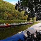 Tretboote (schwebende Boote) vor der Winterruhe.....