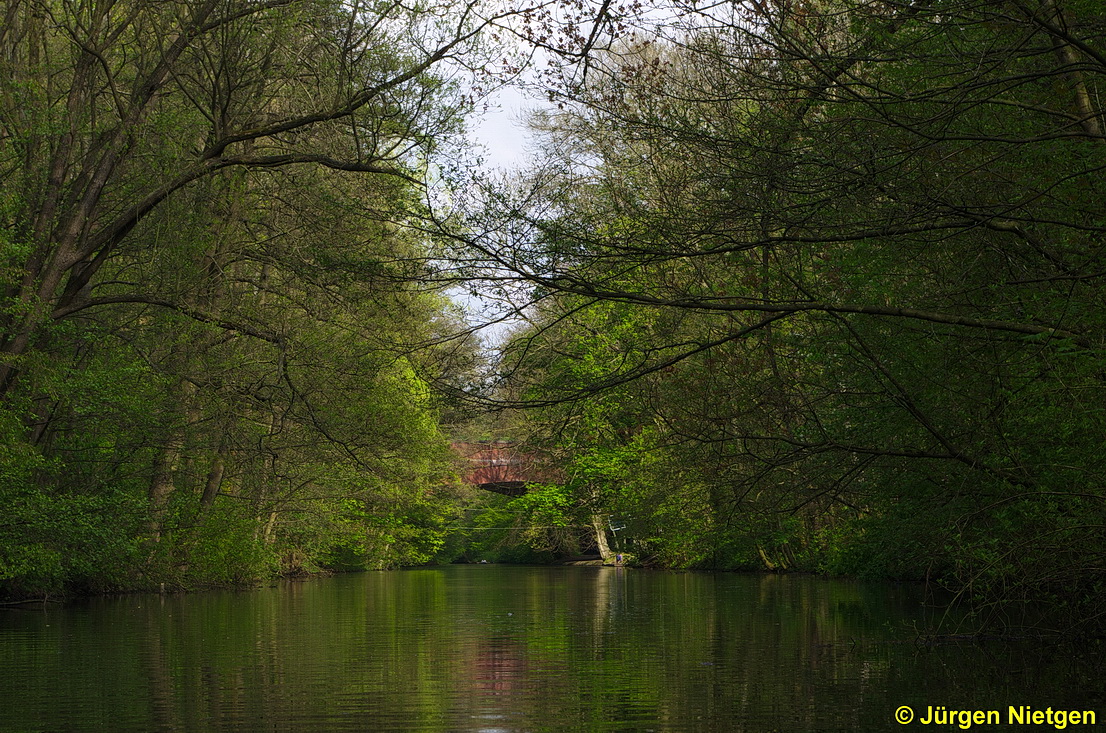 Tretbootfahrt auf der Alster