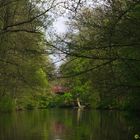 Tretbootfahrt auf der Alster