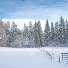 Tretet ein in die freie Natur