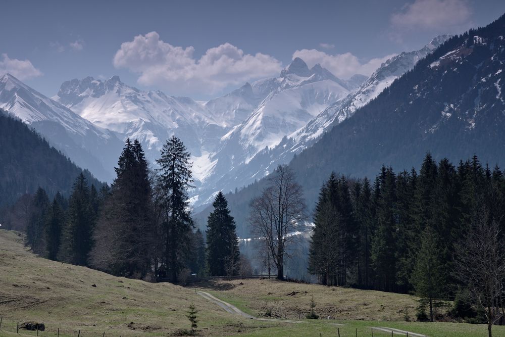 Trettachspitze im Frühling