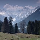 Trettachspitze im Frühling