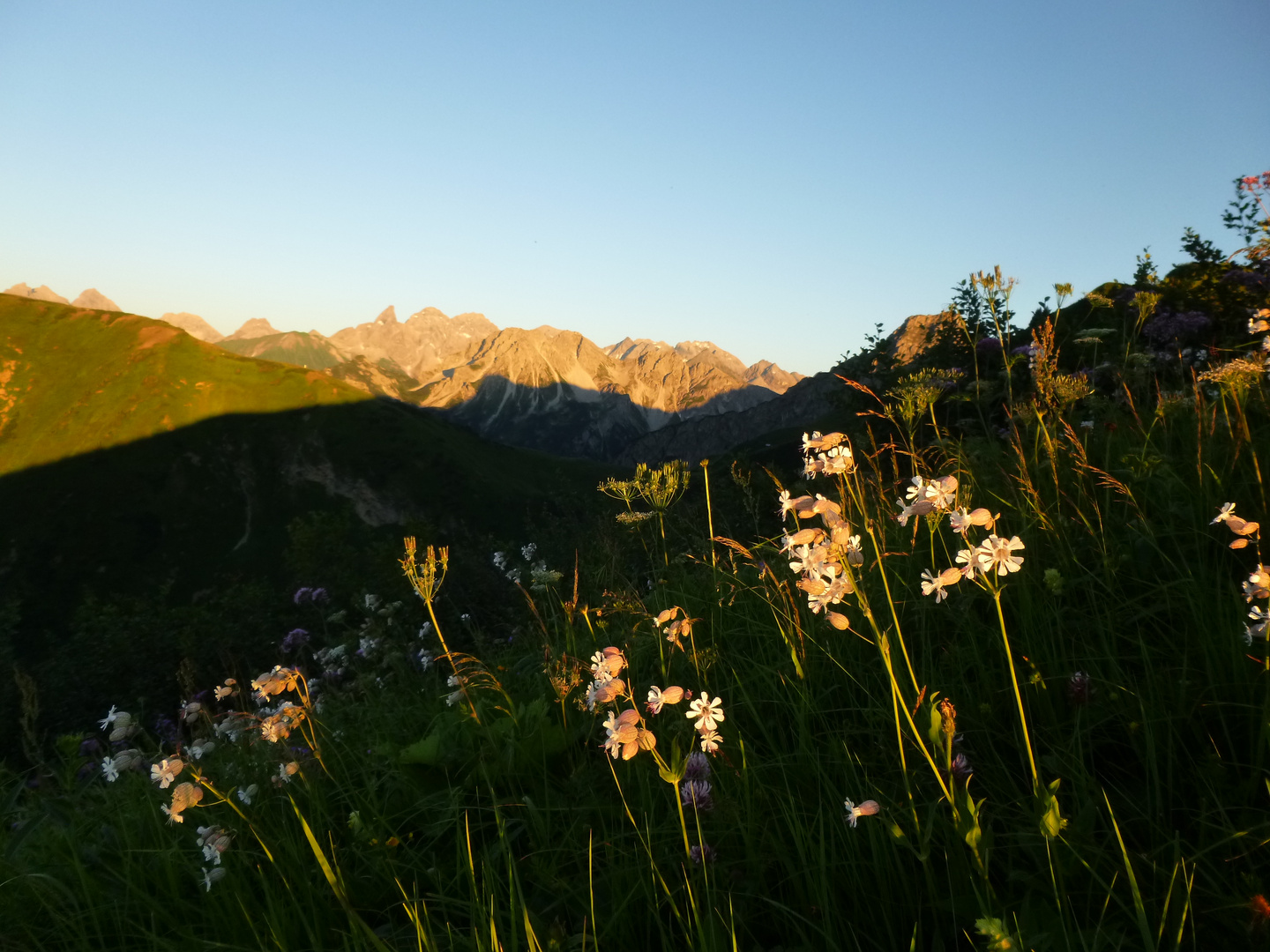 Trettachspitze - Mädelegabel - Fellhorn - Blick von der Gehrenspitze