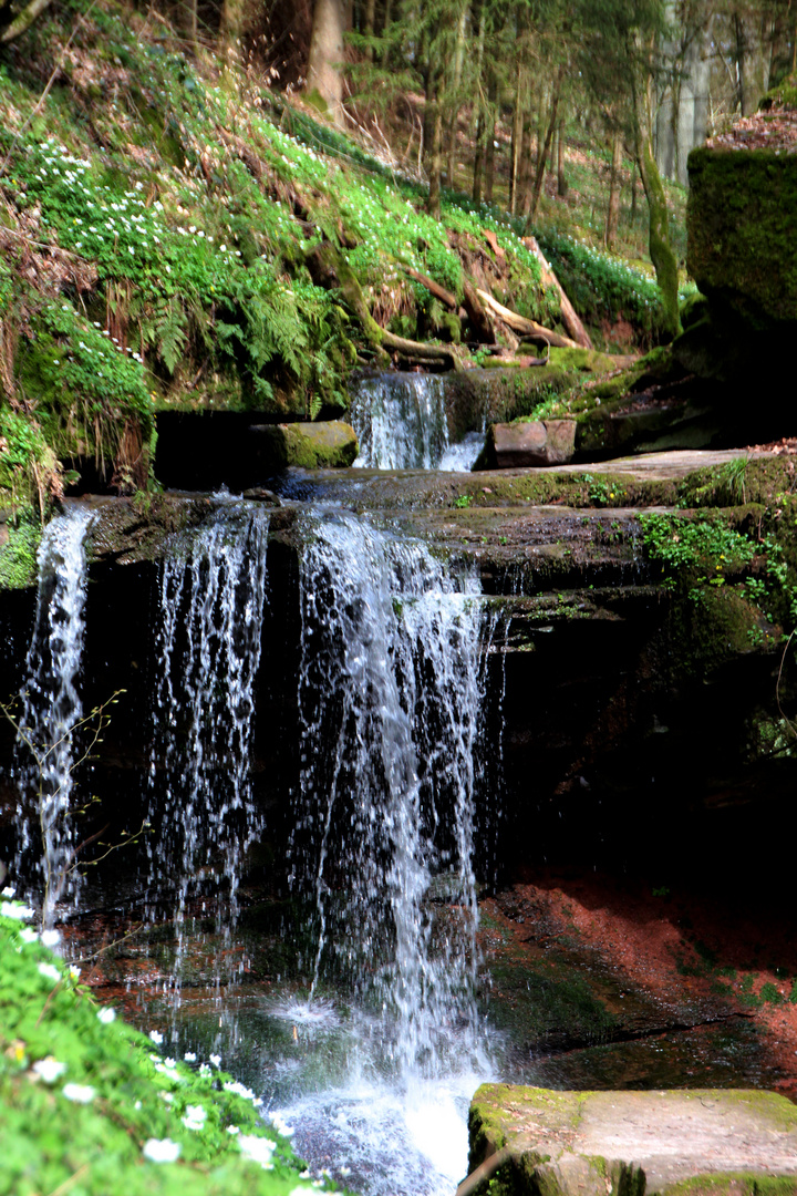 Trettsteinwasserfall 2