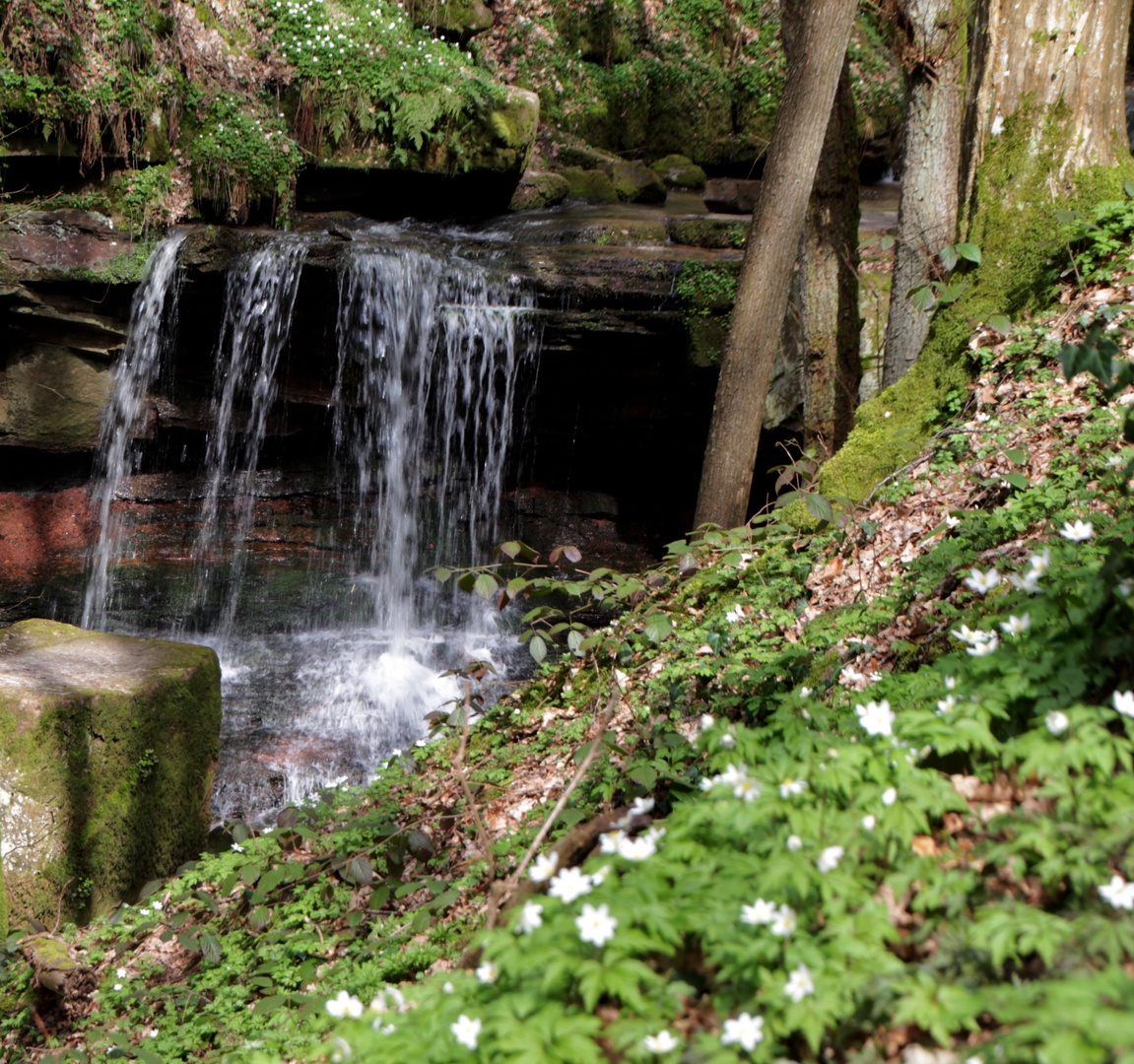 Trettsteinwasserfall