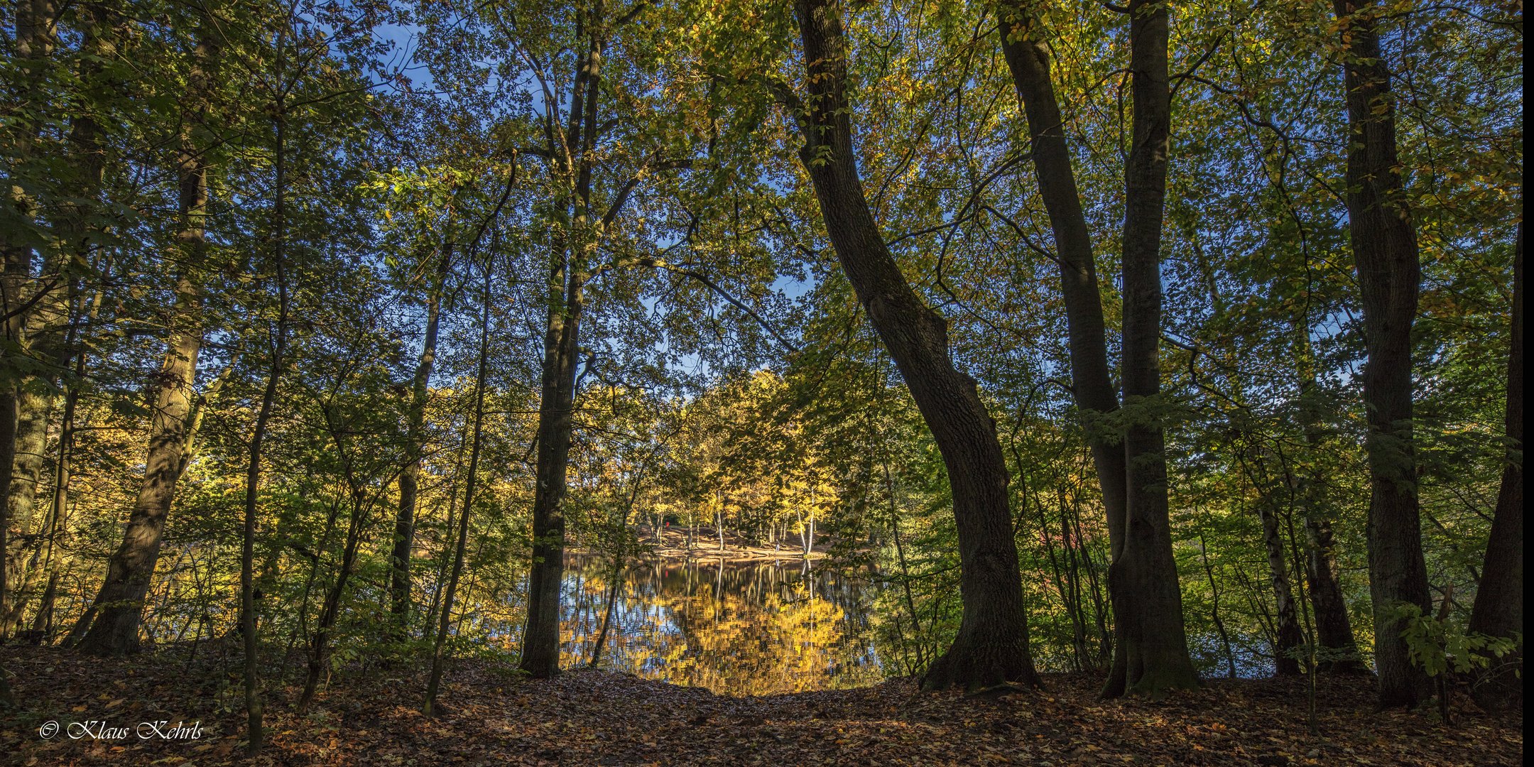 Treudelberg - 24102101