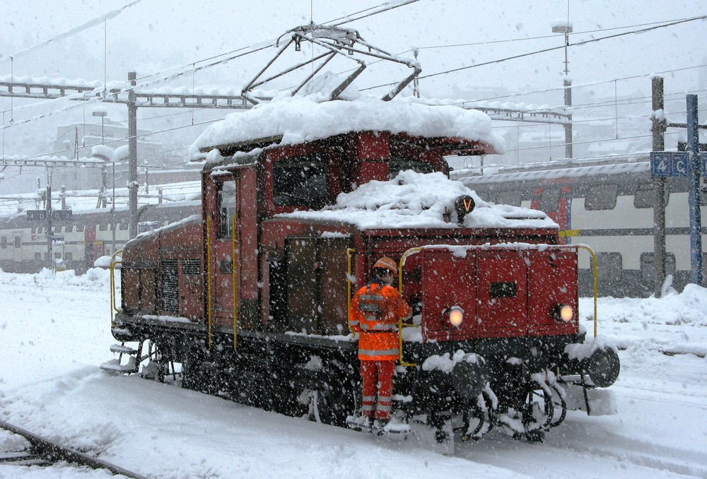 Treue Arbeiterin im Osterschnee