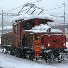 Treue Arbeiterin im Osterschnee