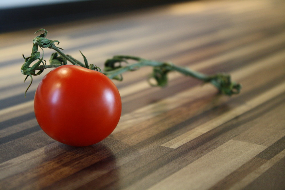 Treulose Tomate