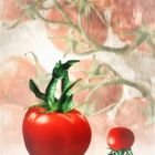 Treulose Tomaten