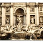 Trevi 3