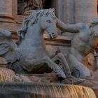 Trevi-Brunnen [ 06 ]