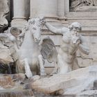 Trevi.Brunnen