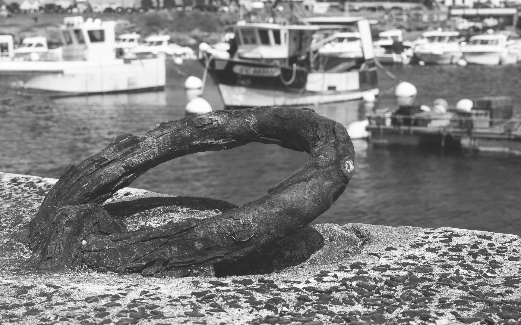 Trévignon et son petit port