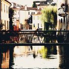 Treviso