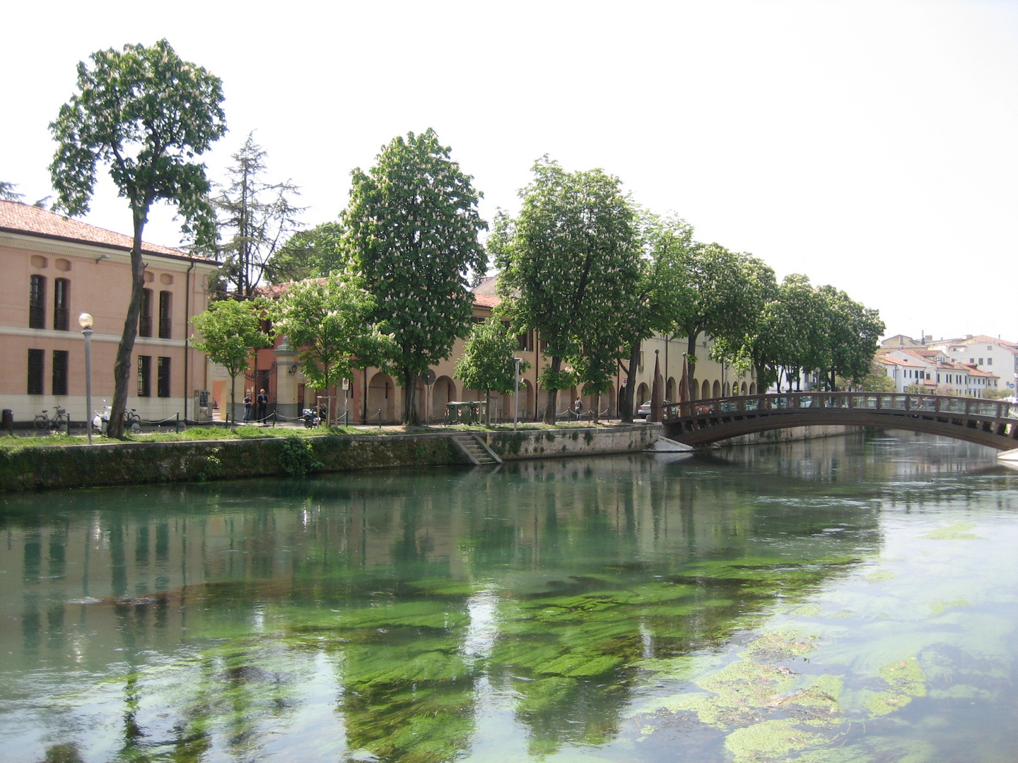 Treviso