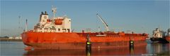  TRF KASHIMA, Oil/Chemical Tanker, Calandkanal, Rotterdam.