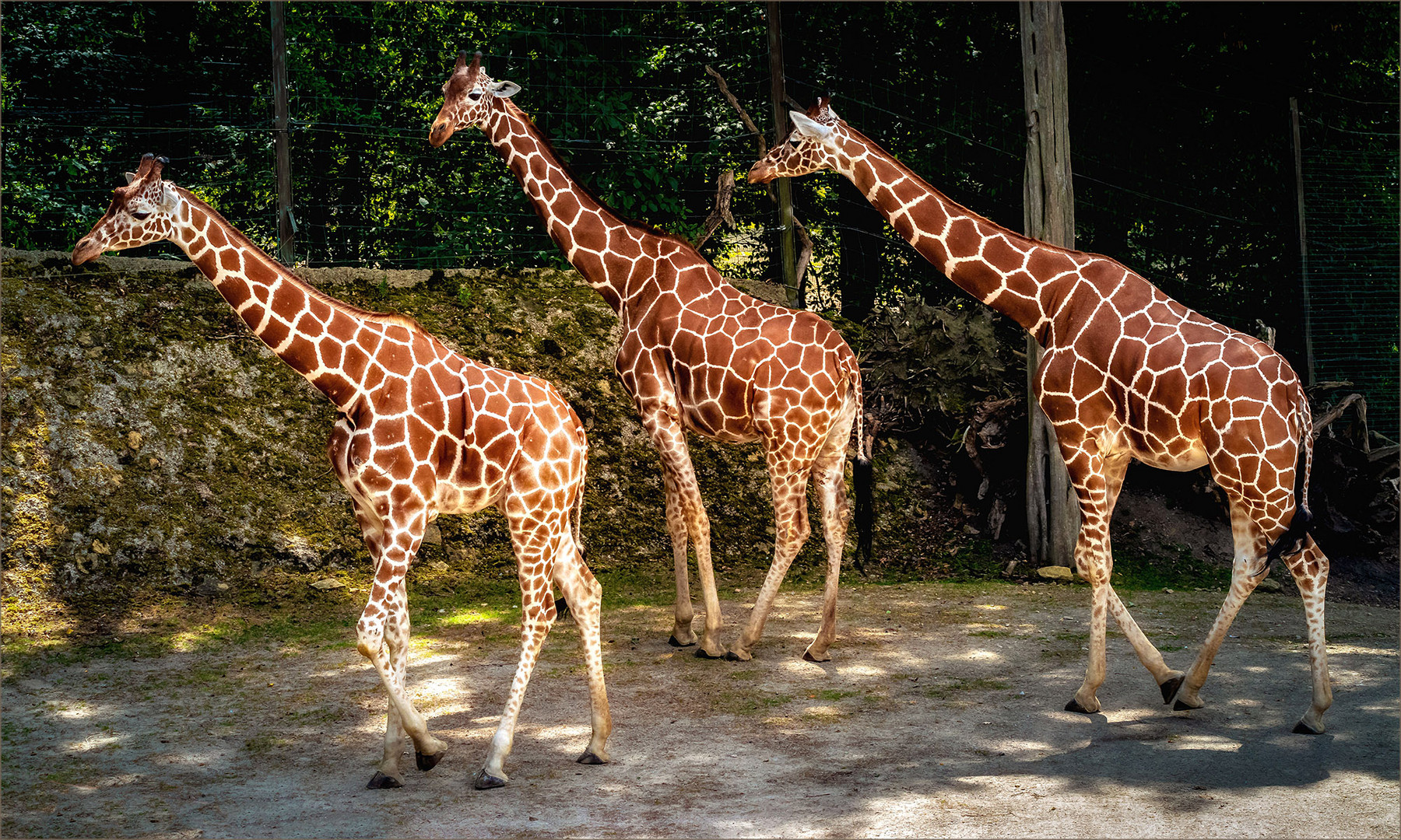 Triade Foto & Bild fotos, natur, landschaft Bilder auf