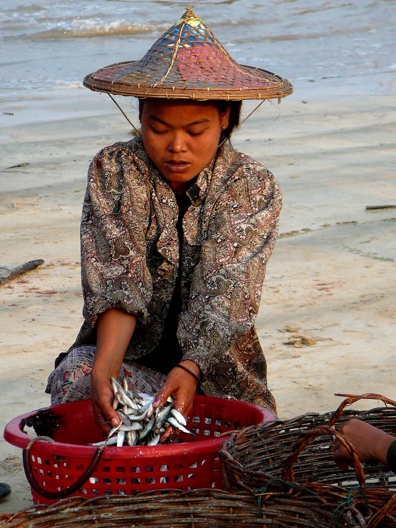 Triage des poissons sur la cote Birmane