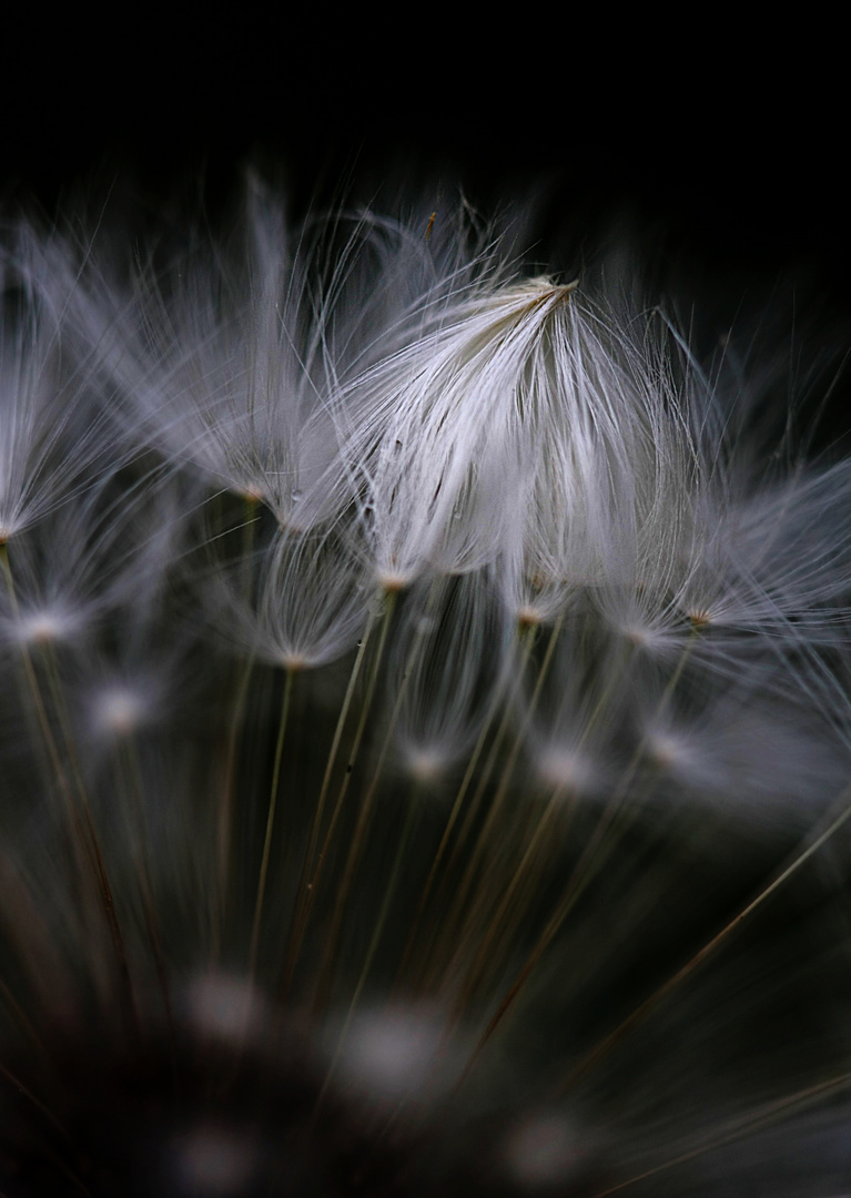 Triangle with feathers