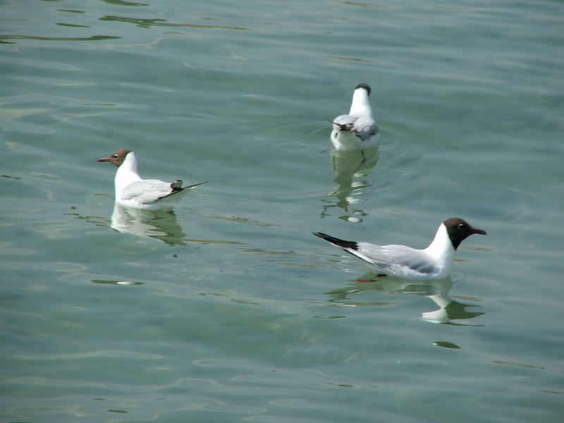 Triangulation, Raspperwil, Switzerland, 2007