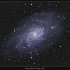 Triangulum Galaxie M33