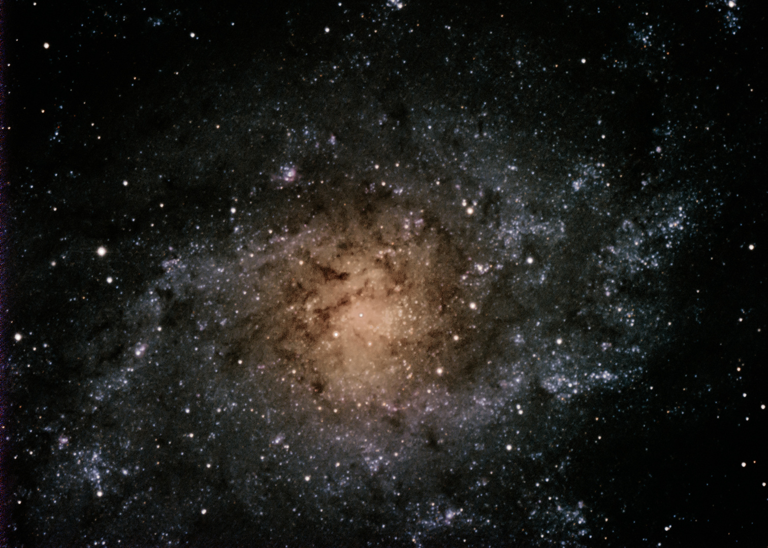 Triangulum Galaxy M33