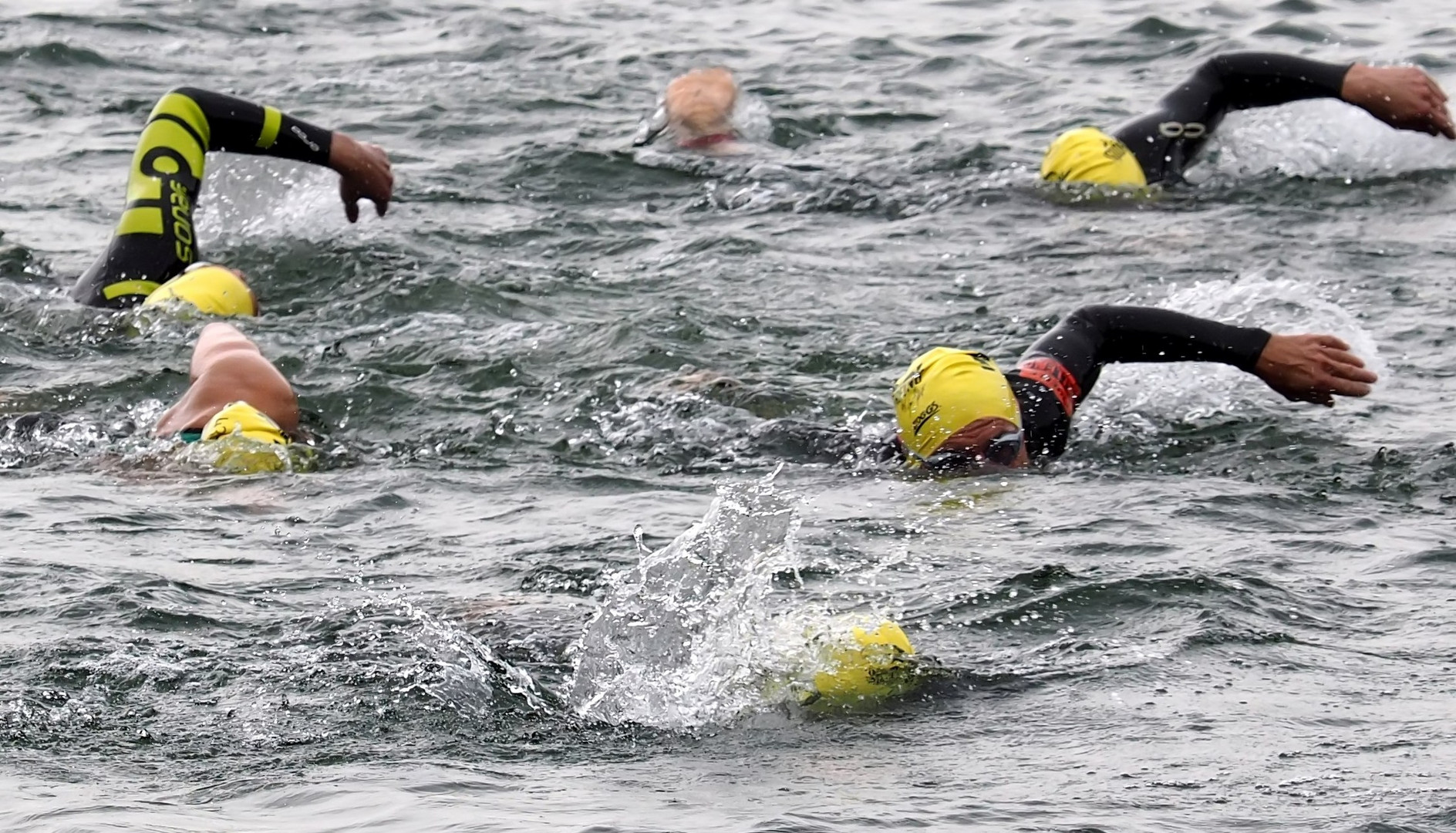 Triathleten im Wasser