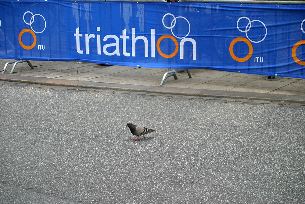 Triathlon Hamburg 2012-11