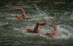 Triathlon Hamburg - Schwimmen