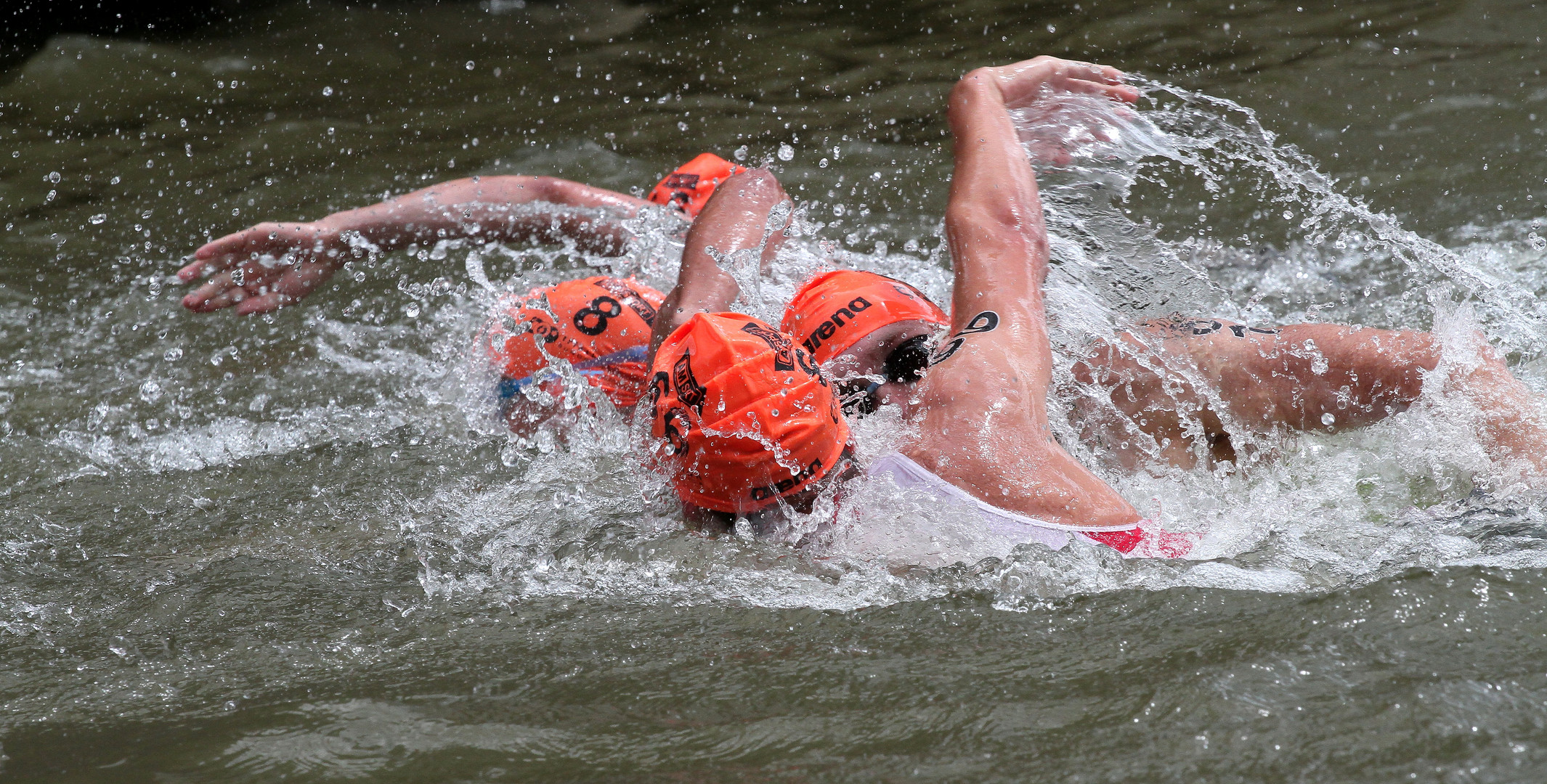 Triathlon- Schwimmwettkampf