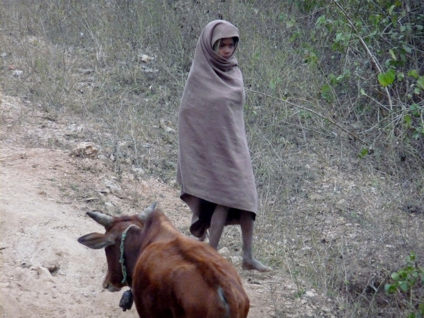 Tribal Boy, India, Chatisgarh