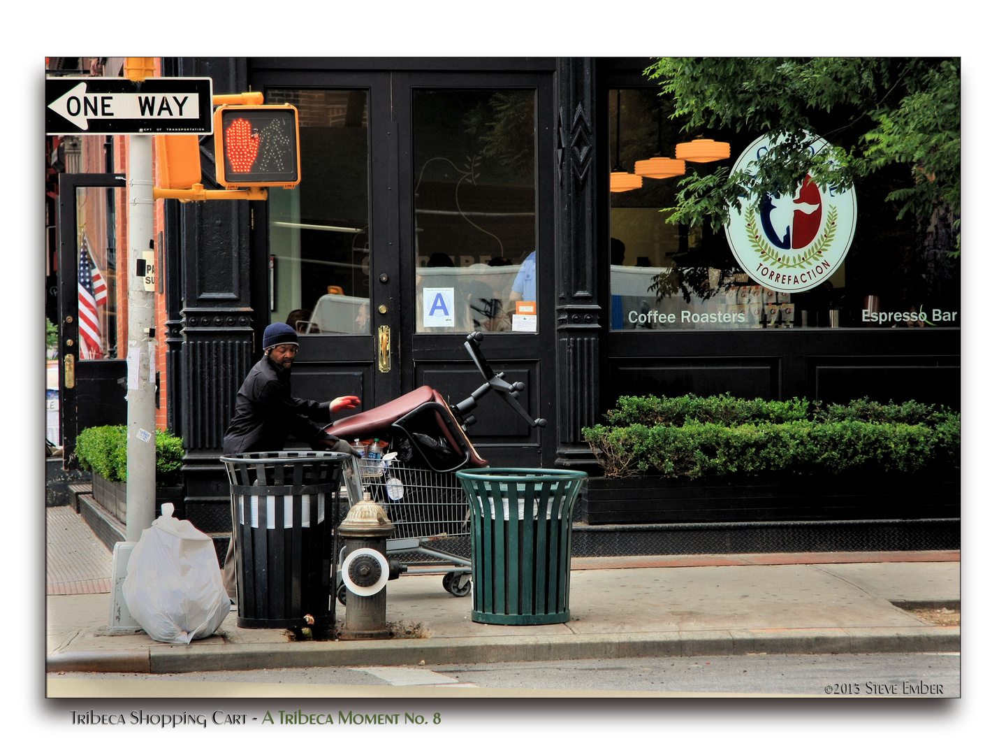 Tribeca Shopping Cart - Tribeca Moment No.8