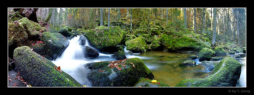 Triberg # 2