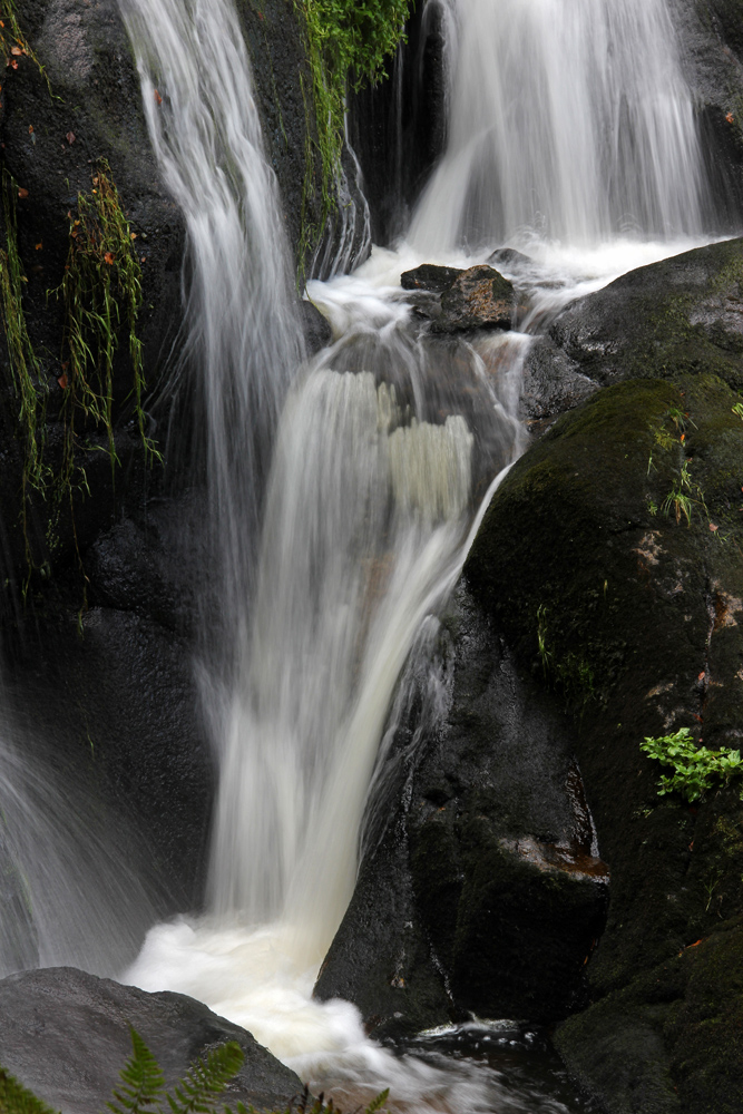 Triberg 2